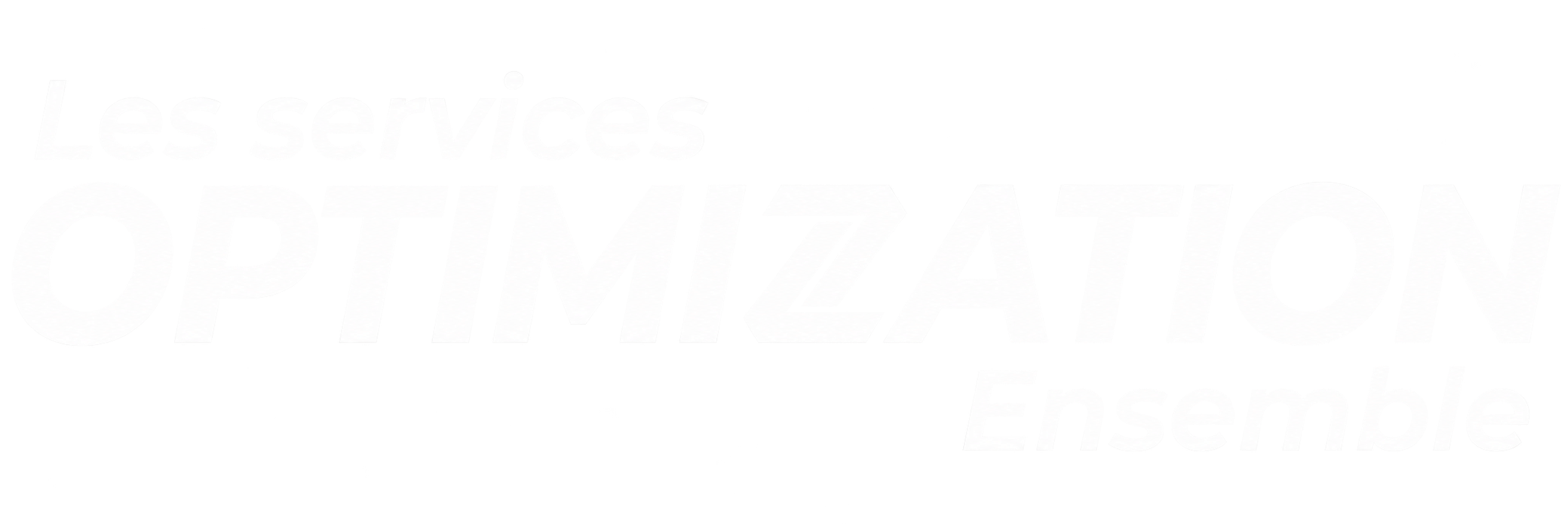 Optimizzation Ensemble Logo